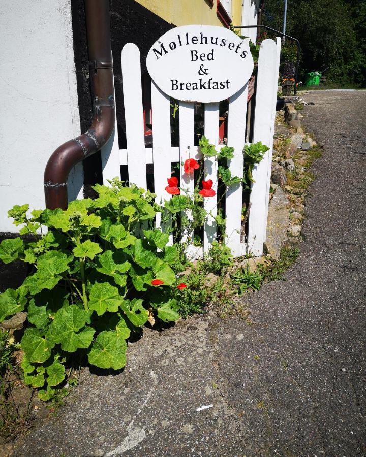 Mollehusets Bed & Breakfast Nordborg Esterno foto