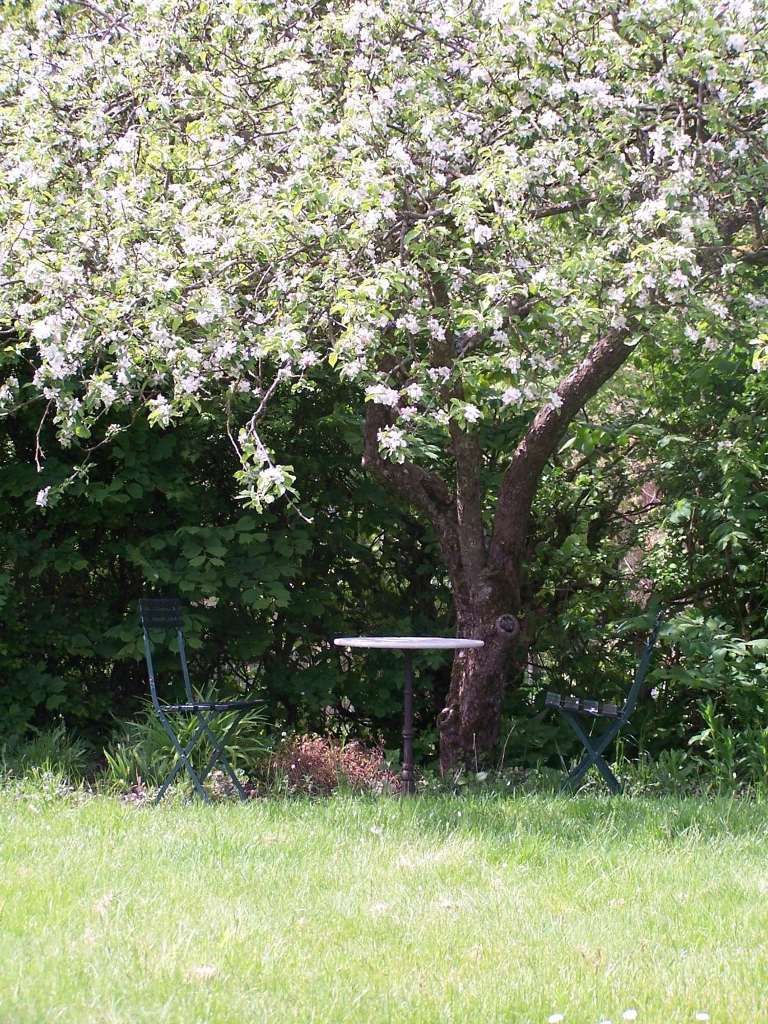 Mollehusets Bed & Breakfast Nordborg Esterno foto